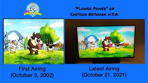 Baby Looney Tunes: The First and Latest Cartoon Network Airings of “Flower Power” - Side-By-Side ...