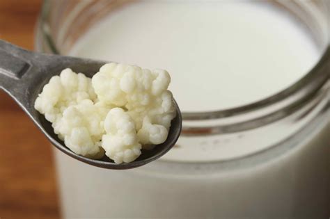 Discover the Nutritional Benefits of Kefir, the Historical Fermented ...