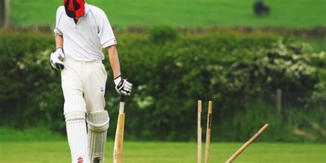 Cricket Rules Explained: A Complete Guide - CricFinder