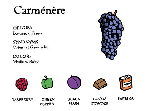 Featured Grape: Carménère | Wine Folly