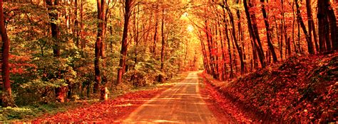 Fall / Autumn - Autumn Path - Free Facebook Covers, Facebook Timeline Profile Covers | Fall ...