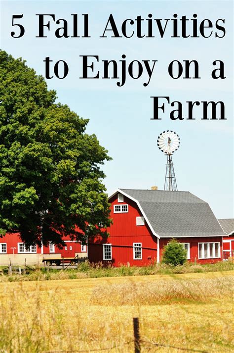 5 Fall Activities to Enjoy on a Farm Family Activities