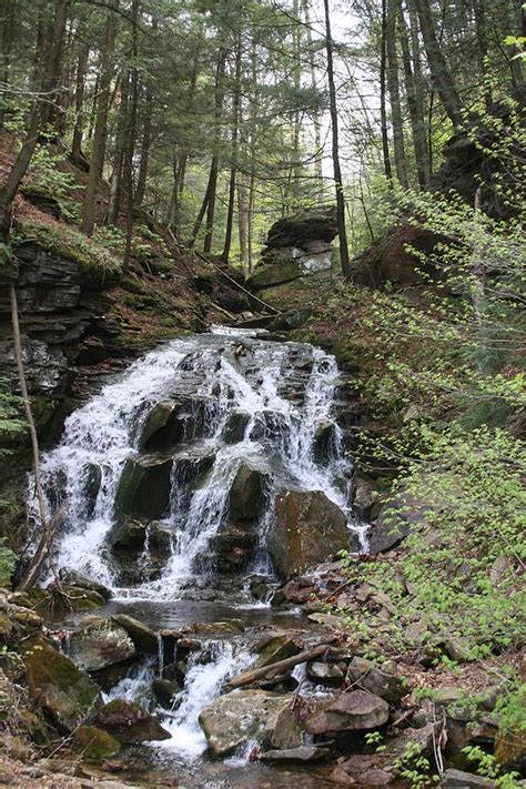 Waterfall Fundy National Park NB Canada Photograph by Hal Longue - Fine Art America