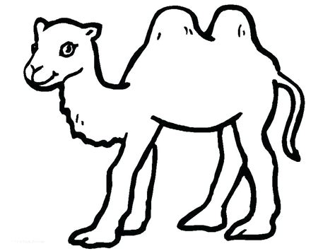 Desert Animals Coloring Pages at GetDrawings | Free download