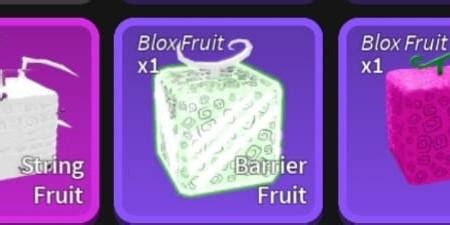 Blox fruit fruits, Video Gaming, Video Games, Others on Carousell