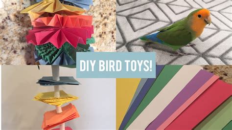 DIY Parrot Toys! - YouTube