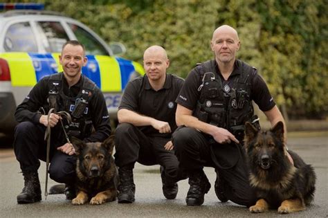 Two police dogs trained near Coventry to be honoured at national awards ...