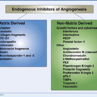 (PDF) Endogenous Inhibitors of Angiogenesis