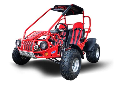 Trailmaster 150 XRS Go Cart Go Kart Dune Buggy 150cc Adult Size