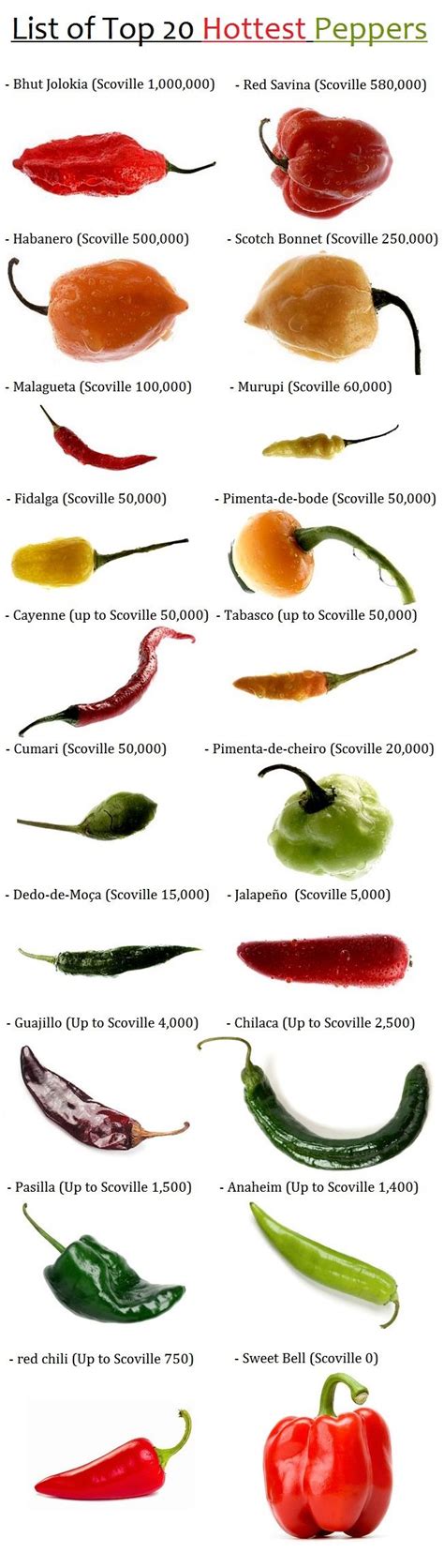 117 best Hot Peppers & Sweet Peppers seed Varieties images on Pinterest | Chili, Fire and Fruit