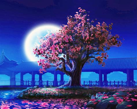 Pictures Kagaya - Cherry Blossom Tree Night (#1004778) - HD Wallpaper & Backgrounds Download