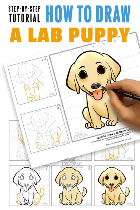 How To Draw A Cute Puppy Step By Step Easy