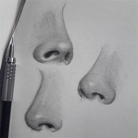 Nose Drawings In Pencil