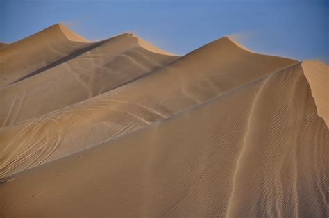 Dunas de arena en Pinamar, Argentina/ Sand dunes in Pinamar Beach, Bs As province. #sanddunes # ...