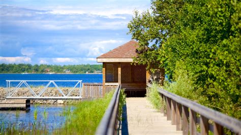 Vacation Homes near Georgian Bay Islands National Park, Georgian Bay: House Rentals & More | Vrbo