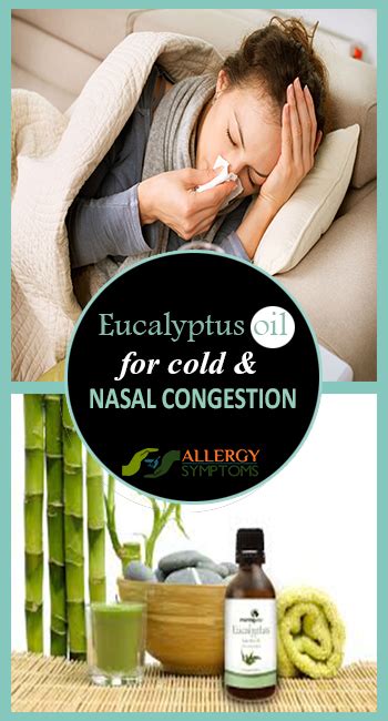 Eucalyptus Oil for Cold and Nasal Congestion - Allergy Symptoms