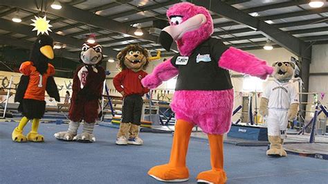 Readers, help us pick top 10 worst college mascots - Page 2 - ESPN