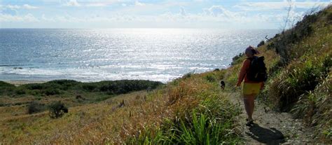 Land Activities, Hiking on St. Croix | GoToStCroix.com