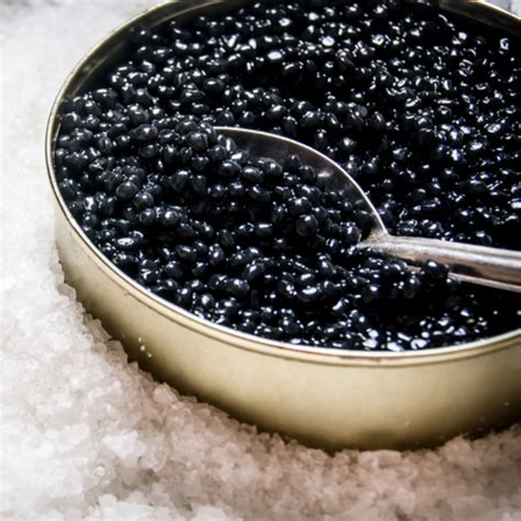 Exquisite World of White Sturgeon Caviar: Origins, Taste & Culinary Uses