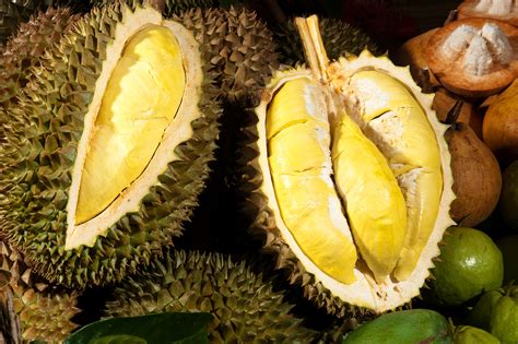 Durian (2) | Yangon | Pictures | Burma in Global-Geography