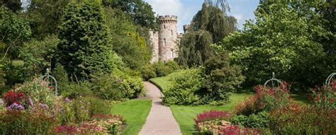 Cholmondeley Castle - Wisteria Tours