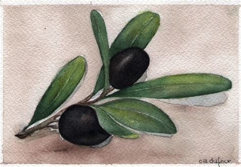 WATERCOLOR... OLIVE BRANCH | Watercolor artwork, Watercolor, Olive branch