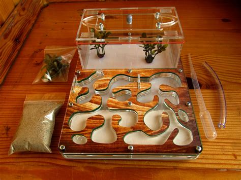 Ant Farm Educational Kit Formicarium Ant | Etsy