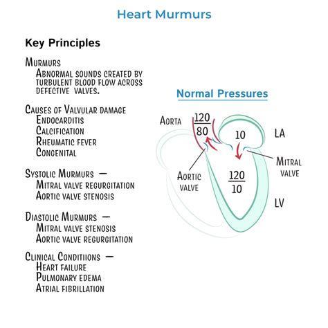 Clinical Pathology Glossary: Heart Murmurs - Stenosis & Regurgitation | ditki medical ...