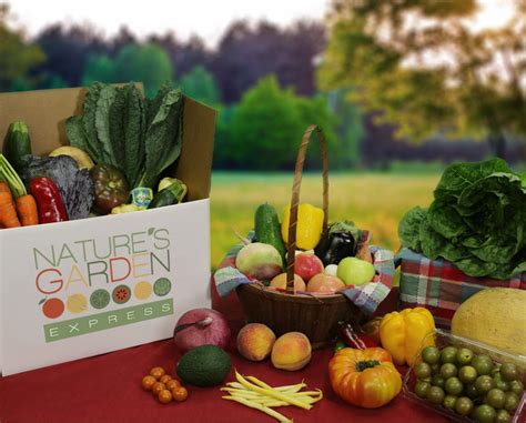 Deal: $19 for Customizable Box of Naturally and Organically Grown Produce from Nature's Garden ...