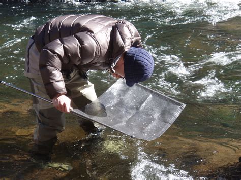 The Fly-fishing mind of Jeff Allen: How to Make a Seine Net