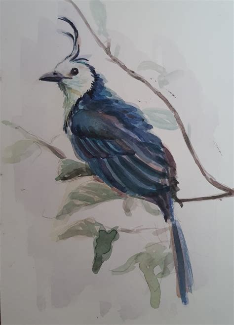 Bird on a branch : r/Watercolor