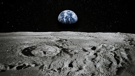 Lunar soil plants: Study reveals lunar soil can support plant growth