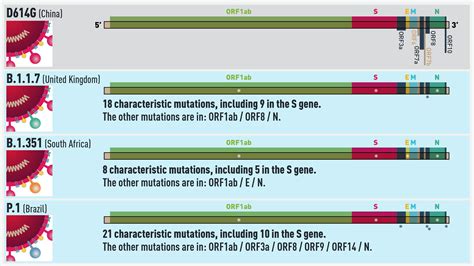 Genomic surveillance: Tracking the evolution of a pandemic