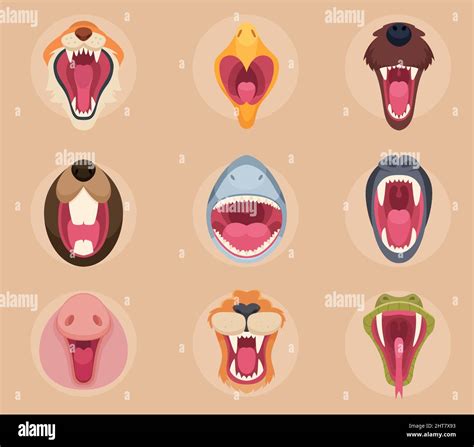 Horse teeth and tongue Stock Vector Images - Alamy