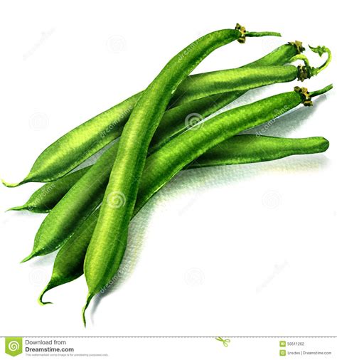 Green beans clipart - Clipground