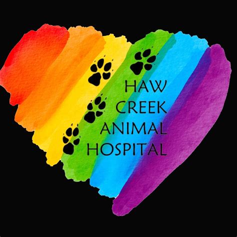 Haw Creek Animal Hospital | Asheville NC