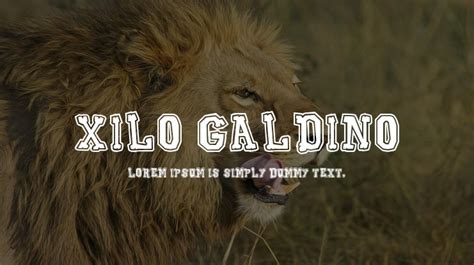 Xilo Galdino Font Family : Download Free for Desktop & Webfont