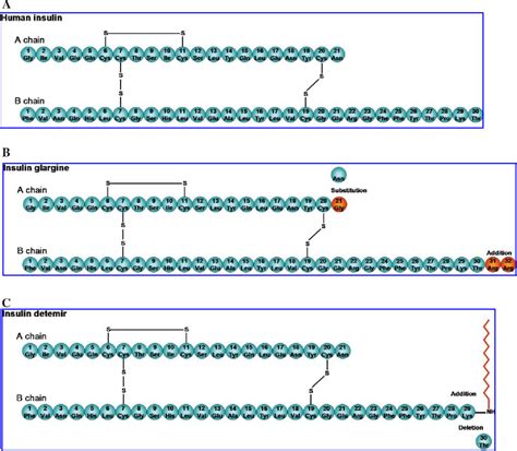 Figure 1 from Beyond the era of NPH insulin--long-acting insulin analogs: chemistry, comparative ...