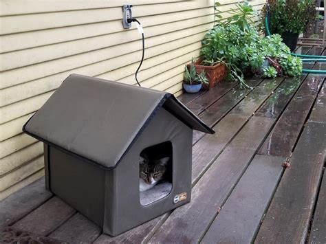 Best Outdoor Heated Cat House