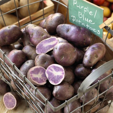 » Potato Varieties