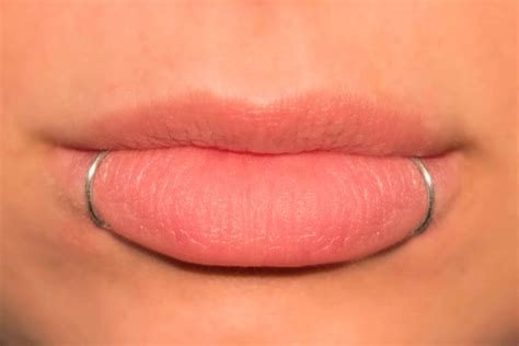 Fake Lip Ring Snake Bites NO PIERCING REQUIRED Lip Cuffs - Etsy