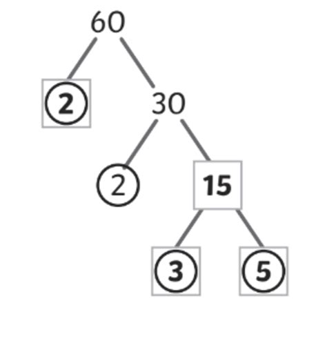 What are Factor Trees? Characteristics, Uses and Examples - Worksheets Library