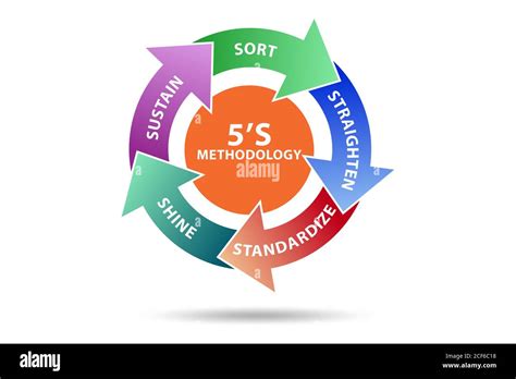 Workplace Organization 5s Methodology Sort Vector Image, 40% OFF