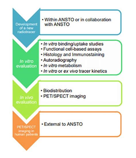 Radiotracer characterisation and evaluation | ANSTO