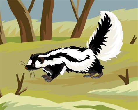 Striped Polecat - Facts, Diet, Habitat & Pictures on Animalia.bio