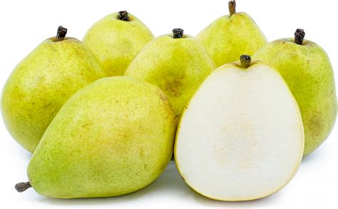 Anjou Pears Information, Recipes and Facts