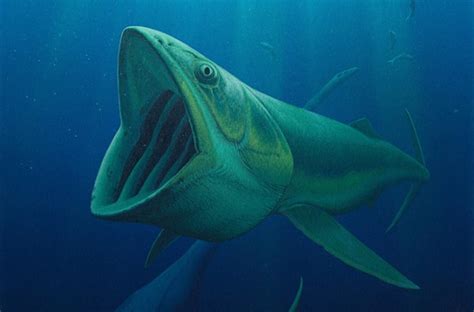 Fossils Unveil New Species of Big Mouthed Fish • Apex Tribune - World ...