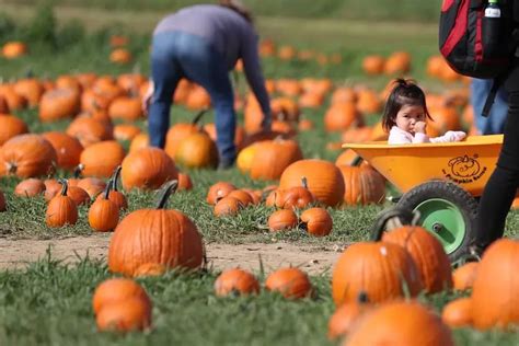 Pick pumpkins, take a hayride at these Philly area spots for fall 2023