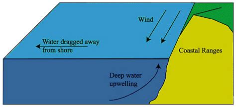 Definitions & Causes of Upwelling and Downwelling in Oceans – Home Deco