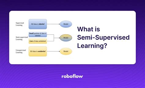 What is Semi-Supervised Learning? A Guide for Beginners.